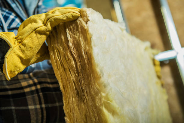 Best Local Insulation Services  in Beebe, AR